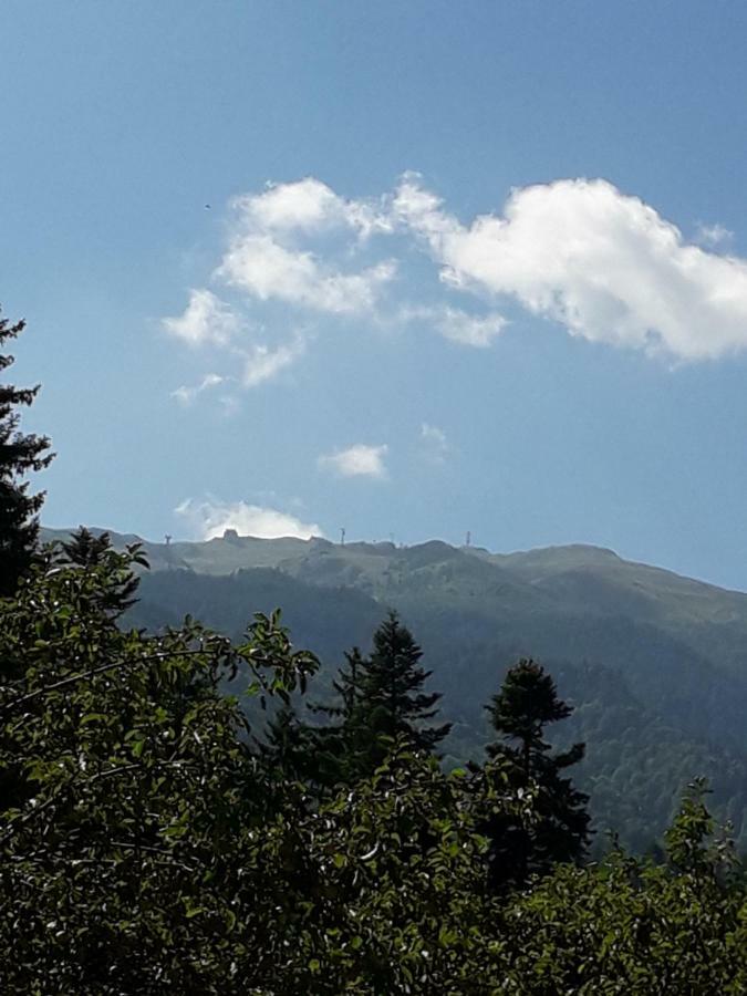 Lanobila Hotel Sinaia Eksteriør billede